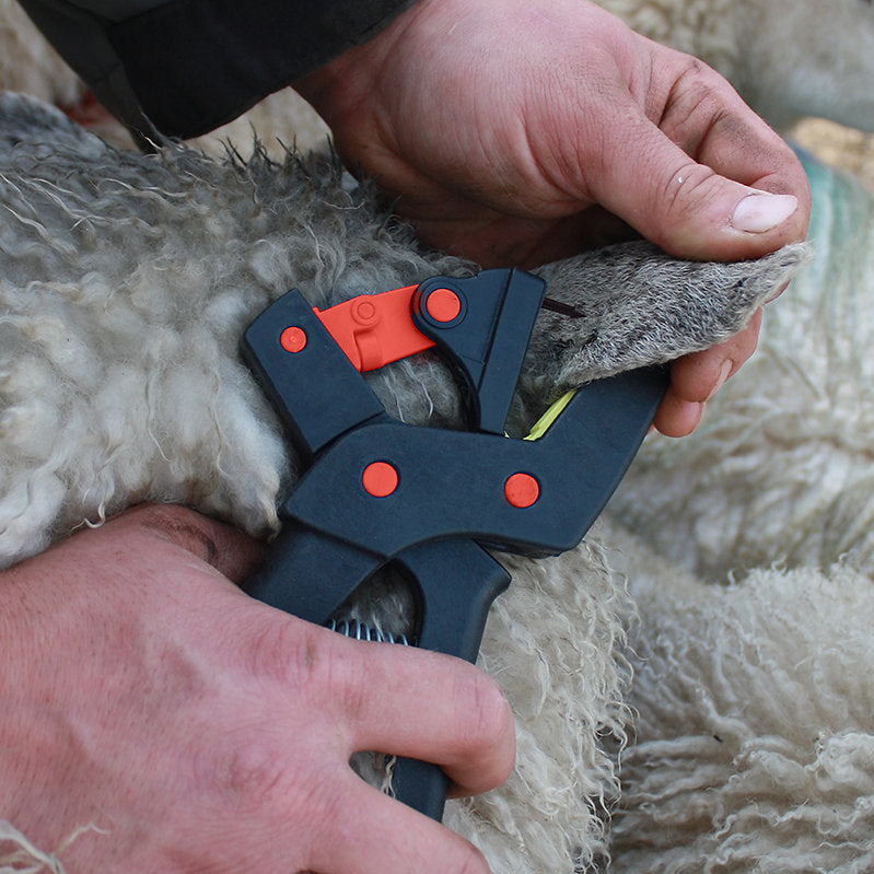 Lazertag Auto Release Sheep Tag Applicator